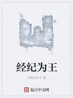 《经纪为王》小说封面