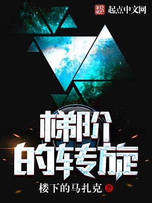 《梯阶的转旋》小说封面