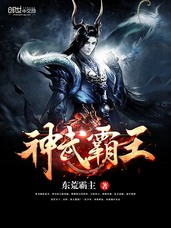《神武霸王》小说封面