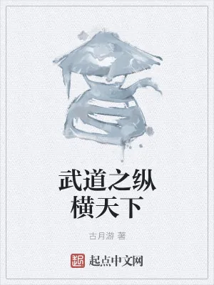 《武道之纵横天下》小说封面