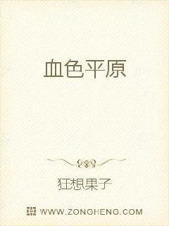《血色平原》小说封面