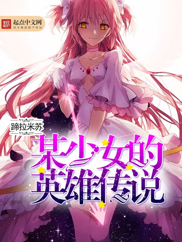 《某少女的英雄传说》小说封面
