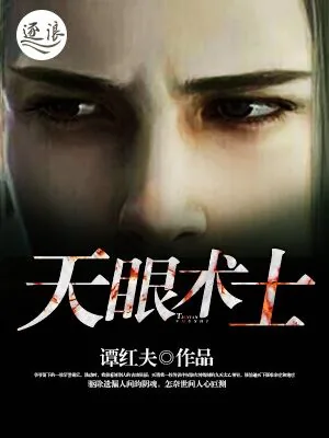 《天眼术士》小说封面