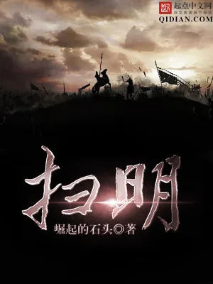 《扫明》小说封面
