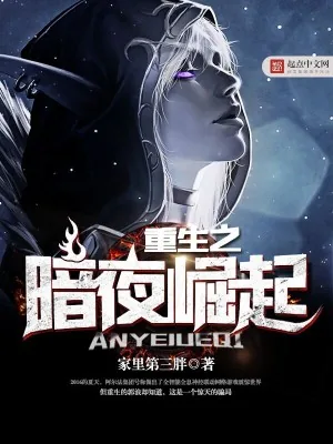 《重生之暗夜崛起》小说封面