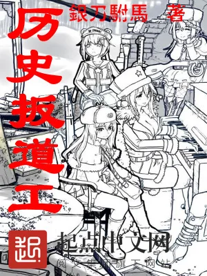 《历史扳道工》小说封面