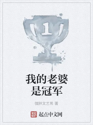 《我的老婆是冠军》小说封面