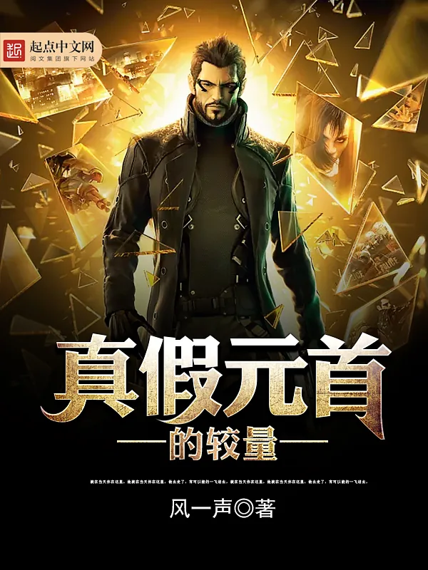《真假元首的较量》小说封面