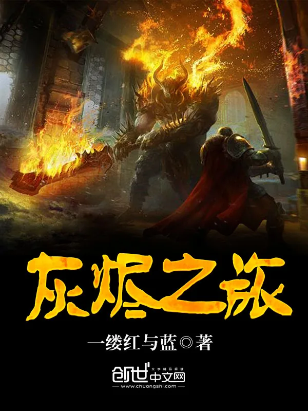 《灰烬之旅》小说封面