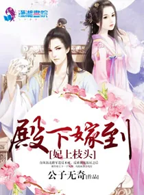 《妃上枝头：殿下嫁到》小说封面