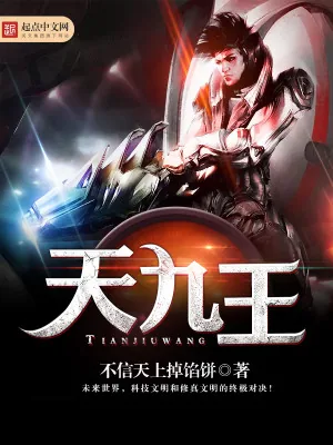 《天九王》小说封面