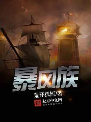 《暴风族》小说封面