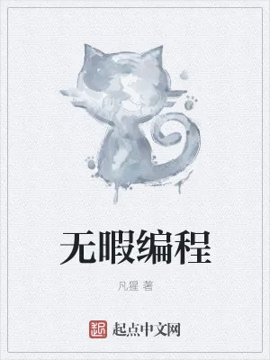 《无暇编程》小说封面