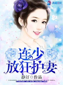 《连少放狂护妻》小说封面