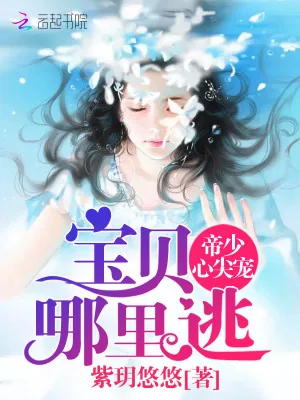《帝少心尖宠:宝贝,哪里逃》小说封面