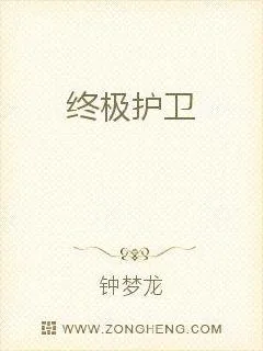 《点金高手》小说封面
