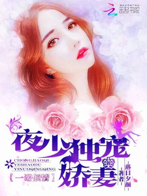 《一诺倾情：夜少独宠娇妻》小说封面