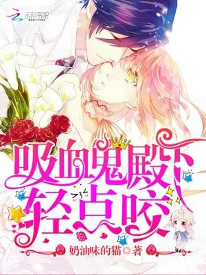 《吸血鬼殿下,轻点咬!》小说封面