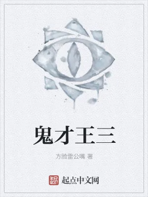 《鬼才王三》小说封面