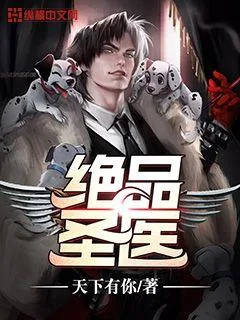 《绝品圣医》小说封面