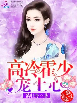 《高冷霍少,宠上心!》小说封面