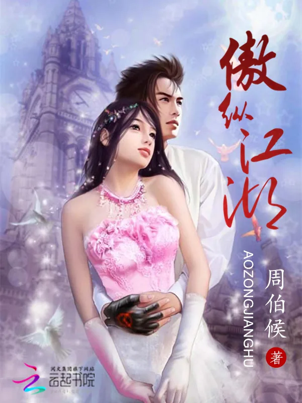 《傲纵江湖》小说封面