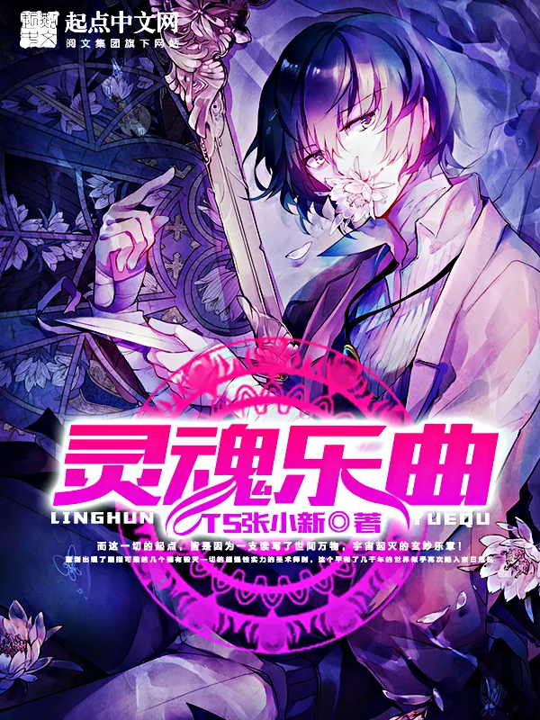 《灵魂乐曲》小说封面