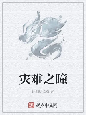 《灾难之瞳》小说封面