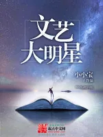《文艺大明星》小说封面