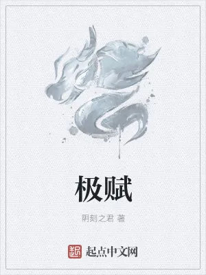 《极赋》小说封面