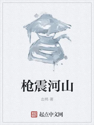 《枪震河山》小说封面