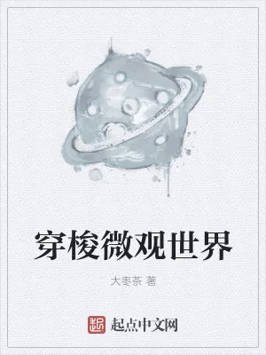 《穿梭微观世界》小说封面