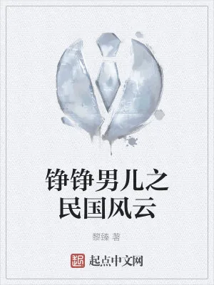 《铮铮男儿之民国风云》小说封面