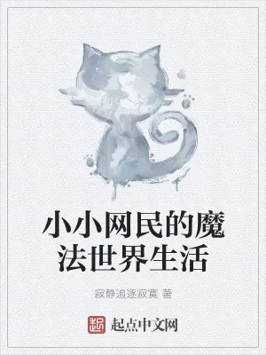 《小小网民的魔法世界生活》小说封面