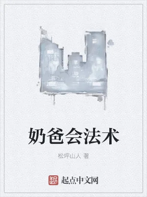 《奶爸会法术》小说封面