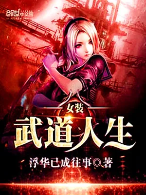 《女装武道人生》小说封面