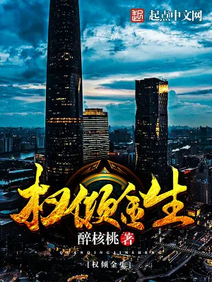 《权倾金生》小说封面