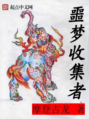 《噩梦收集者》小说封面