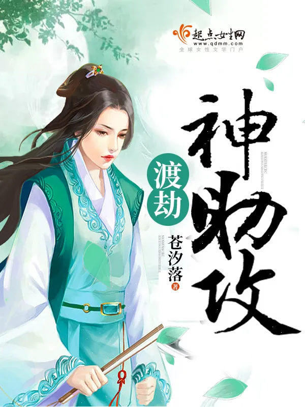 《渡劫神助攻》小说封面