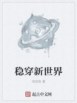《稳穿新世界》小说封面