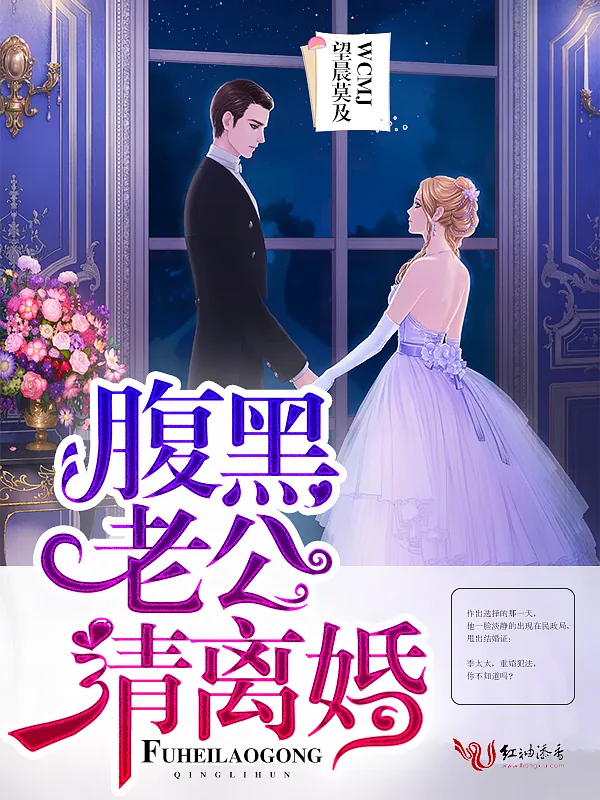 《腹黑老公，请离婚！》小说封面