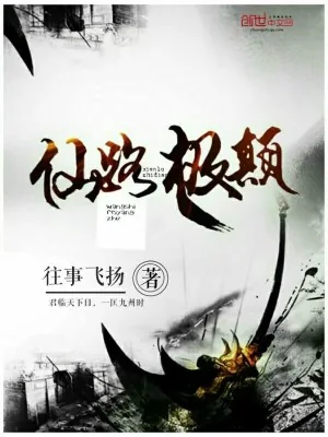 《仙路极颠》小说封面