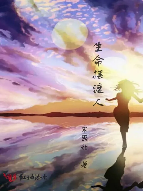 《生命摆渡人》小说封面