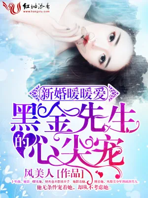 《新婚暖暖爱，黑金先生的心尖宠》小说封面