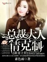 《新妻上任，总裁大人请克制》小说封面