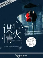 《心火谋情》小说封面