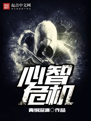 《心智危机》小说封面