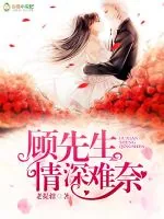 《顾先生，情深难奈》小说封面