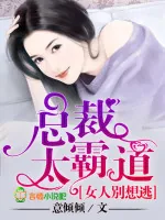 《总裁太霸道，女人别想逃》小说封面
