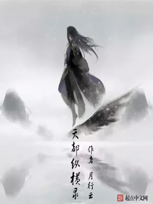 《天都纵横录》小说封面